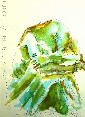 اثر مليحه کيانيان - بي نام - نقاشي