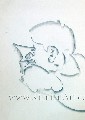Malihe Kianian - no name - Designing